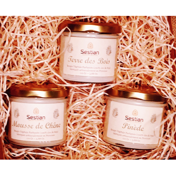 Coffret Cadeau "Flânerie en Forêt"