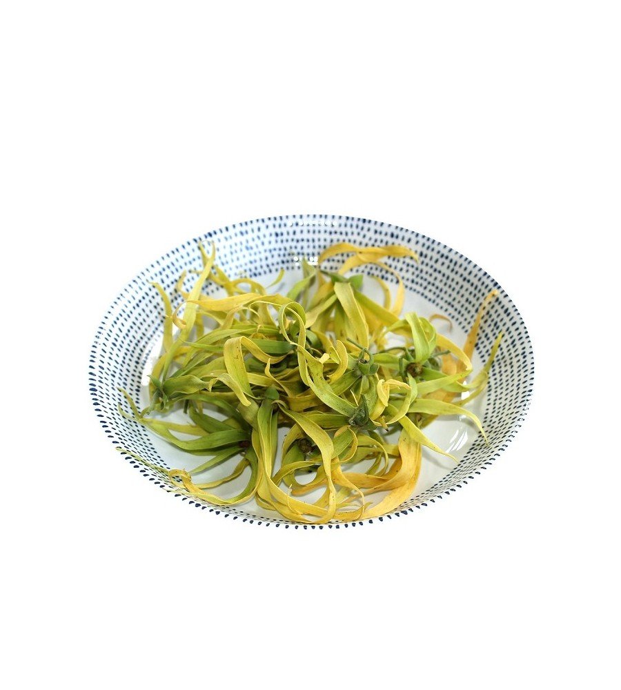 Bougie Parfumée Ylang-Ylang 110Gr Bougie Parfumée Ylang-Ylang 110Gr