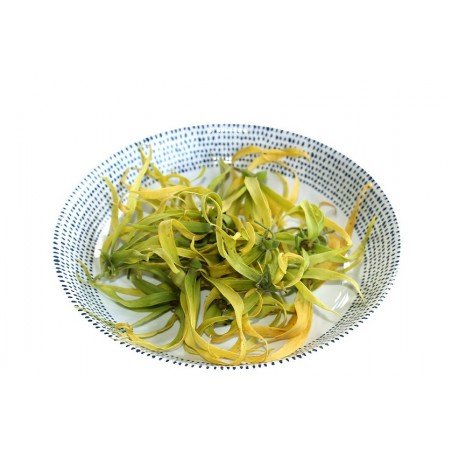 copy of Bougie Parfumée Ylang-Ylang