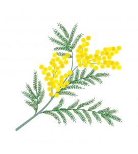 Bougie végétale Tendre Mimosa - Gamme S 28 heures de brûle Sestian Nature et Senteurs