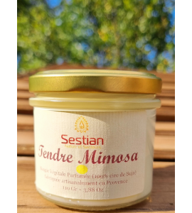 Bougie végétale Tendre Mimosa - Gamme S 28 heures de brûle