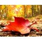 Bougie Parfumée Légende d'Automne XL 2 mèches Bougie Parfumée Légende d'Automne XL 2 mèches