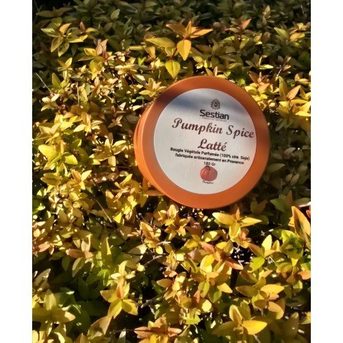 copy of Bougie Naturelle Parfumée Absolue Tonka Gamme M