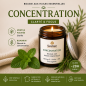 Bougie Végétale Synergie Concentration Bougie Végétale Synergie Concentration