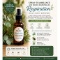 Spray d'ambiance aux Huiles Essentielles "Respiration"