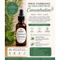 Spray d’ambiance “Concentration” – 55 ml Stimule • Focus • Clarté