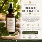 Parfum d’ambiance Délice du Figuier – Vert, frais et apaisant -100ml Spray Parfum Maison