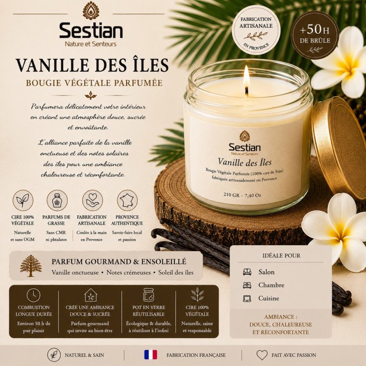 Bougie végétale parfumée Vanille des Îles 210g – Chaleureuse et gourmande