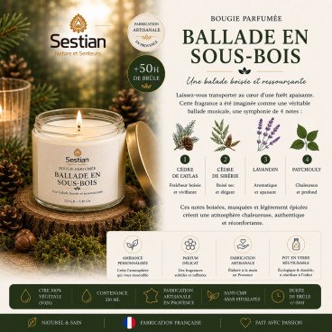 Bougie végétale parfumée Ballade en Sous-Bois 210g – Chaleureuse et authentique