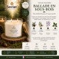 Bougie végétale parfumée Ballade en Sous-Bois XL – 370g – 2 mèches
