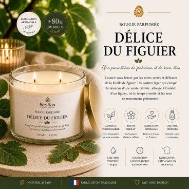 Bougie végétale parfumée Délice du Figuier XL – 370g – 2 mèches