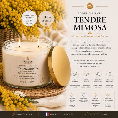 Bougie végétale parfumée Tendre Mimosa XL – 370g – 2 mèches