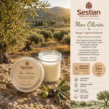 Bougie Dédicace Provence Mon Olivier – Bougie végétale parfumée 200g