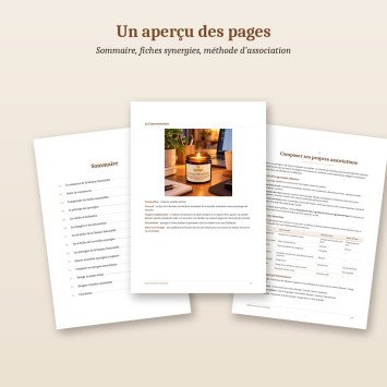Aperçu des pages de l’ebook Alchimies essentielles