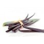 Bougie Naturelle Parfumée Vanille des Iles Gamme M Bougie Naturelle Parfumée Vanille des Iles Gamme M