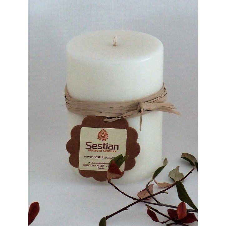 Bougie Pilier Collection Nature Taille M