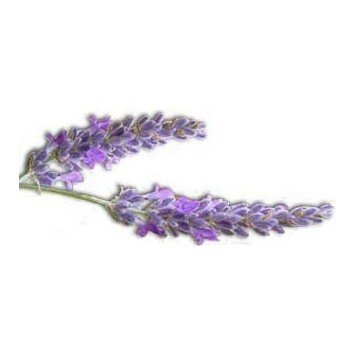 Parfum d'ambiance Lavandin de Puimasson