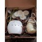 Coffret Cadeau Diffusion