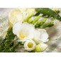 Bougie Parfumée Freesia Eclatant Gamme M Bougie Parfumée Freesia Eclatant Gamme M