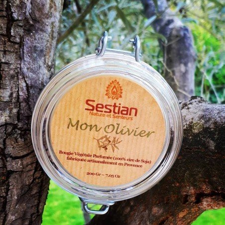 Bougie Naturelle  Parfumée Dédicace Provence : Mon Olivier